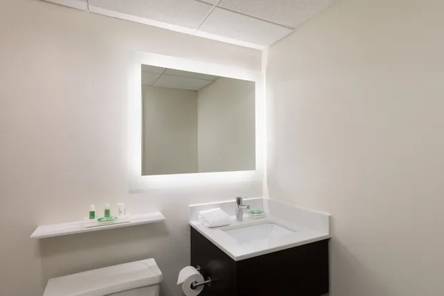 Standard, King Bed, Accessible, Holiday Inn Clark Newark Area Formerly Crowne Plaza Clark 2/2