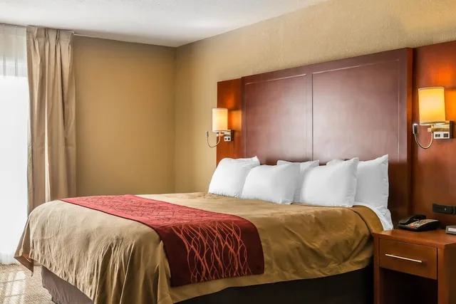 Studio, Suite, King Bed, Comfort Inn Savannah Midtown 2/4