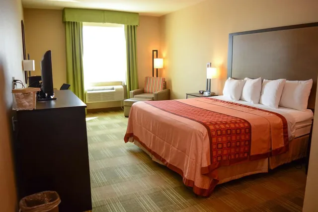 غرفة ديلوكس بسرير كينج، Surestay Hotel by Best Western Cotulla 3/7