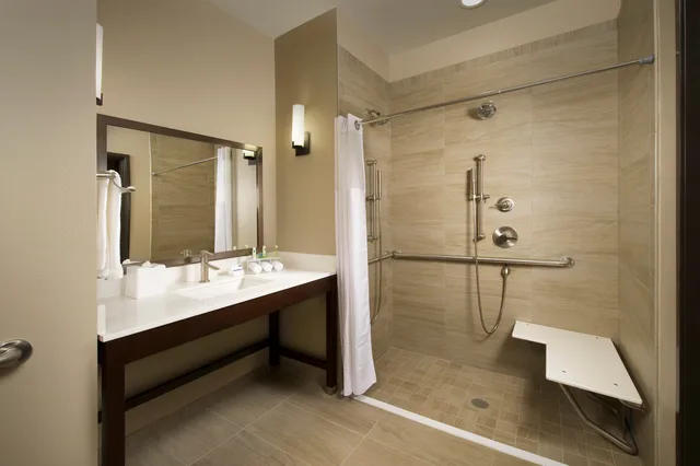 جناح بسريرين لذوي الإعاقة، Holiday Inn Express And Suites Waco South 1/1