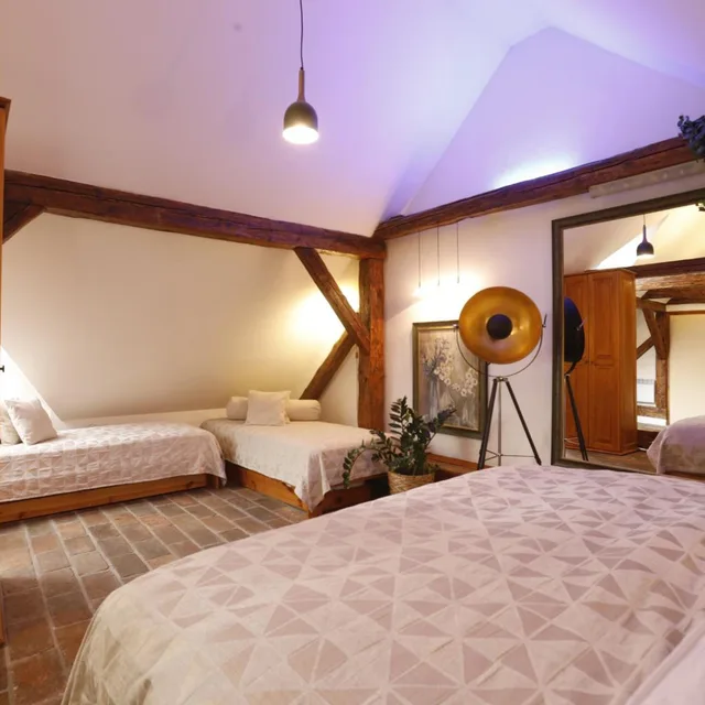 Premium, Apartment, Castle View, Terrace, Attic، Wellness Pension Ametyst 2/9