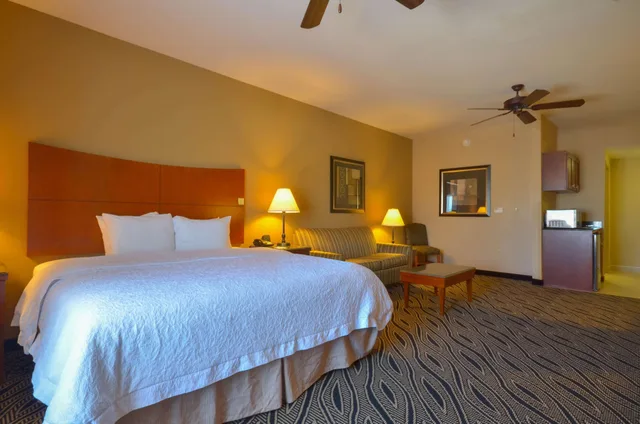 جناح بسرير كينج، Hampton Inn Bryant 1/7