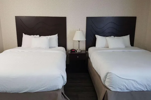 غرفة بسريرين كوين يُسمح فيها بالحيوانات الأليفة، Radisson Hotel & Conference Centre West Edmonton, AB 4/7