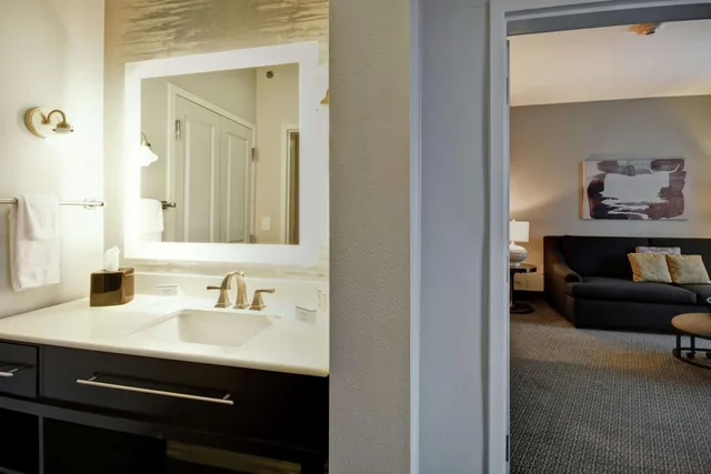 1 Bedroom, Suite, King Bed, Sofa, Homewood Suites By Hilton Dallas Arlington South Tx 2/2