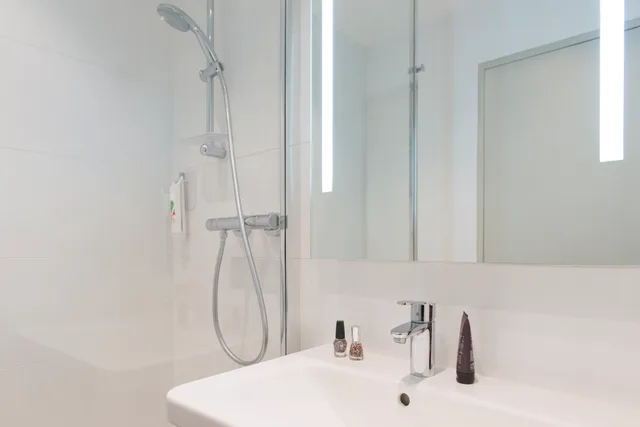 غرفة قياسية بسرير كينج، Ibis Styles Lyon Confluence Hotel 8/8