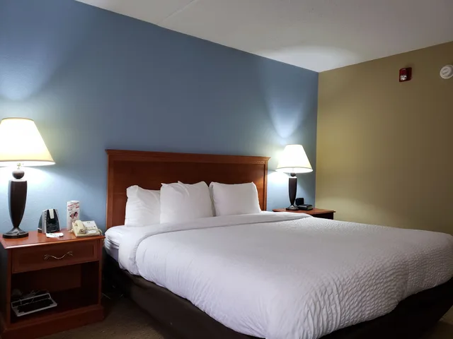 Standard, King Bed, Pet Friendly, Clarion Hotel Conference Center Lexington North 2/4