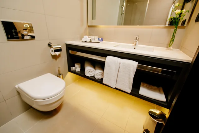 غرفة قياسية بسرير كينج مع دخول الصالة، Crowne Plaza Belgrade 9/10