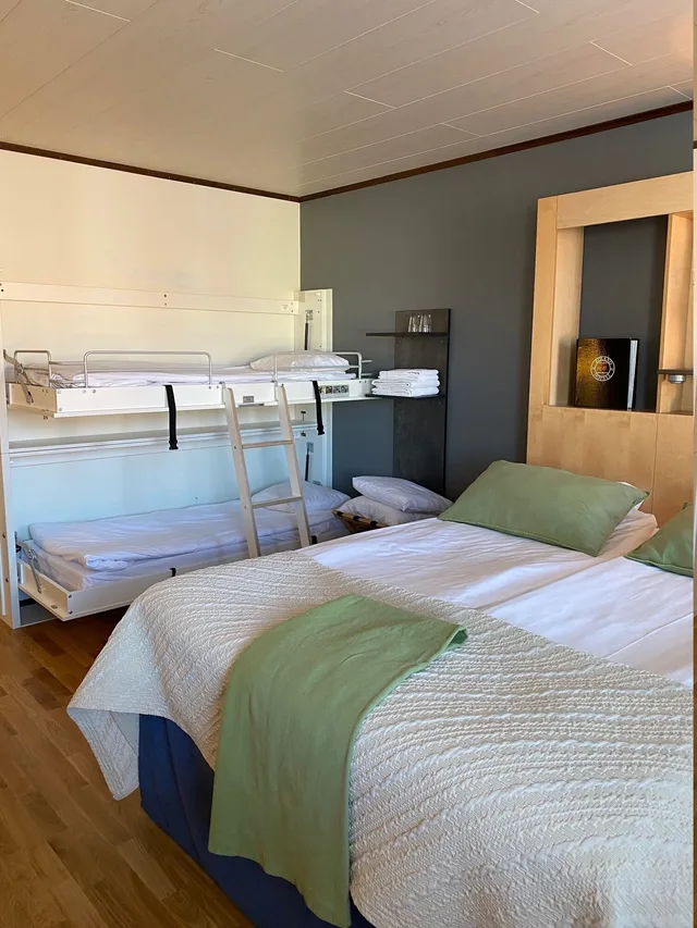 Family, 1 Double and 1 Single Bed, 2 Murphy Beds، Strand City Hotell 4/6
