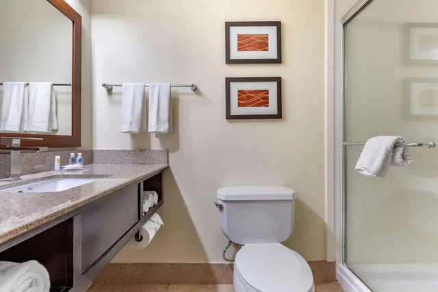 غرفة قياسية بسرير كينج، Comfort Inn & Suites Cornelius Lake Norman NC 7/7