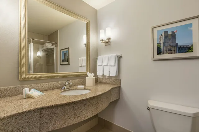غرفة بسرير كينج، Hilton Garden Inn Blacksburg University 3/3