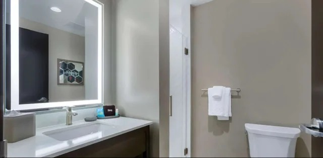 غرفة بسرير كينج مع أريكة لذوي الإعاقة، Vib Hotel by Best Western Phoenix-Tempe 5/6