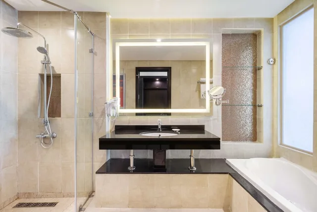 Premium, King Bed, Pool View, Terrace, Radisson Blu Alexandria 7/7