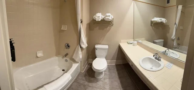 غرفة ديلوكس بسرير كينج، Rocklin Park Hotel, Trademark Collection by Wyndham 6/7