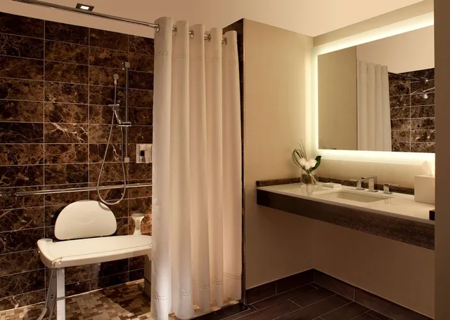 1 Bedroom, Deluxe, Suite, King Bed, Accessible, Hilton McLean Tysons Corner 3/3