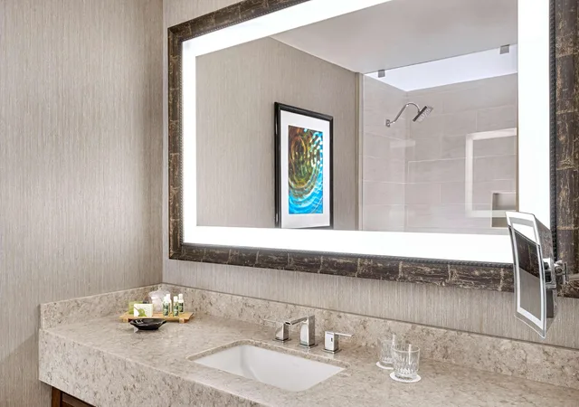 غرفة بسرير كينج بإطلالة على المسبح لذوي الإعاقة، The Woodlands Resort, Curio Collection by Hilton 4/6