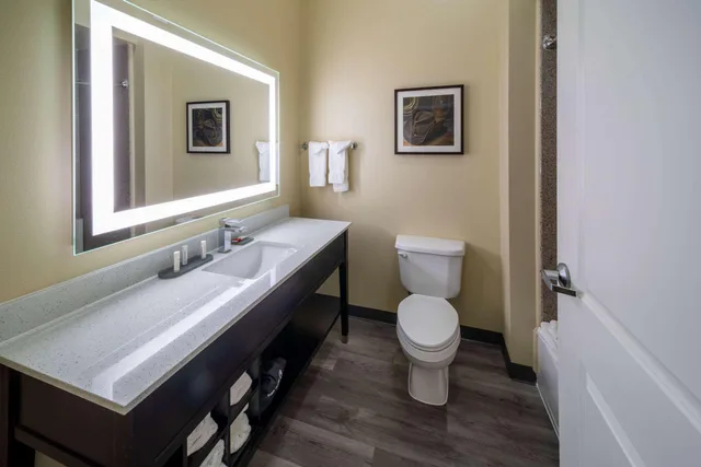 جناح ديلوكس بسرير كينج، La Quinta Inn & Suites by Wyndham Houston New Caney 3/4