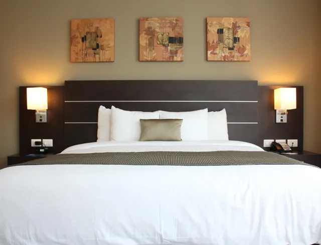 غرفة قياسية مفردة، Tryp By Wyndham Panama Centro 2/3
