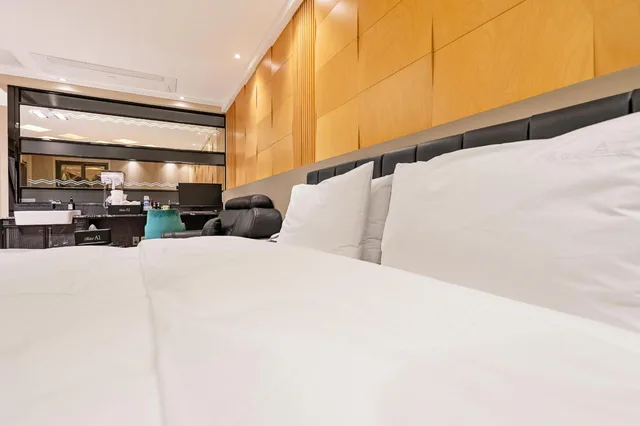 جناح ديلوكس، A1 Hotel Haedo 5/10