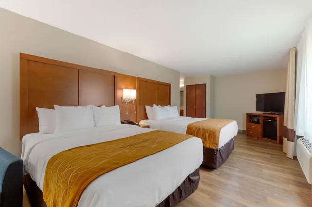 جناح بسريرين كوين مع أريكة، Comfort Inn & Suites Milford DE 1/2