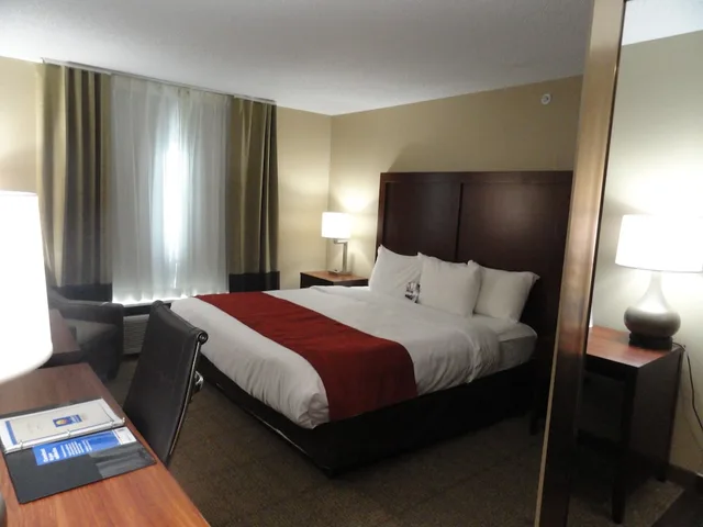 غرفة بسرير كينج لذوي الإعاقة، Comfort Inn & Suites Cooperstown / Milford 3/6