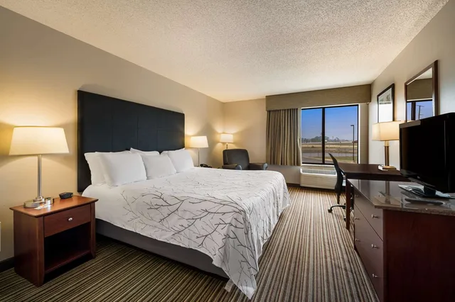 غرفة بسرير كينج بحوض استحمام لذوي الإعاقة، Best Western Park Oasis Inn 2/3