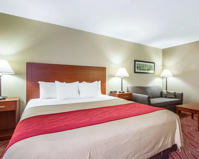 غرفة قياسية بسرير كينج، Comfort Inn Poplar Bluff North 1/3