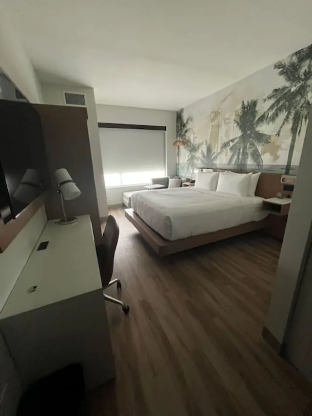 غرفة قياسية بسرير كينج، Cambria Hotel Tampa-Brandon FL 4/6