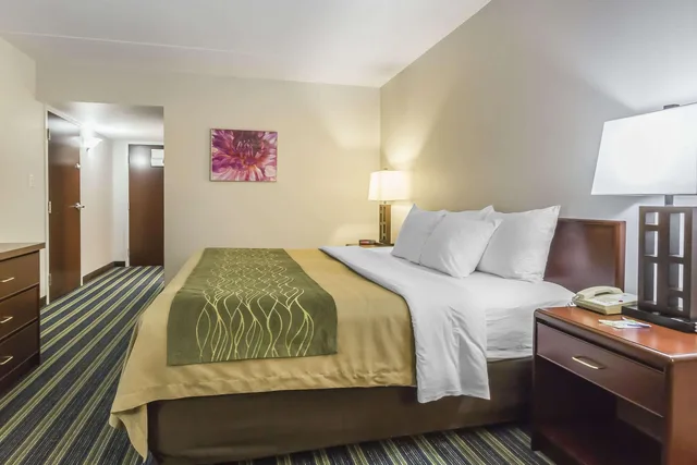 غرفة بسرير كينج، Comfort Inn & Suites Moose Jaw 2/2