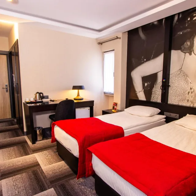 غرفة قياسية بسرير مزدوج أو سريرين منفصلين، Maltepe 2000 Hotel 3/10