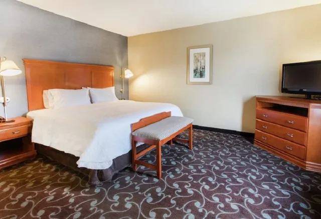 استوديو بسرير كينج مع أريكة لذوي الإعاقة، Hampton Inn & Suites Chicago Deer Park 2/2