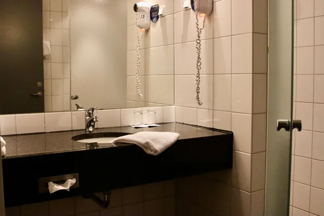 Small Double, Radisson Blu Papirfabrikken Hotel Silkeborg 5/6