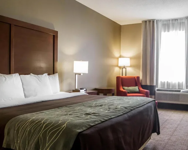 Room, King Bed, Accessible, Comfort Inn Amite City 4/6