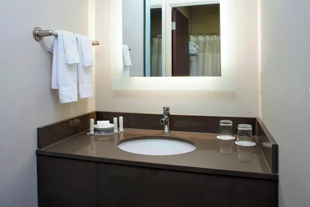 استوديو بسريرين كوين لذوي الإعاقة، SpringHill Suites by Marriott Frankenmuth 1/2