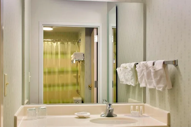 استوديو بسرير كينج مع أريكة، SpringHill Suites by Marriott Philadelphia Plymouth Meeting 6/8