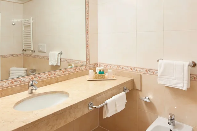 Deluxe, Twin Beds, Park View, Majestic Palace 2/2