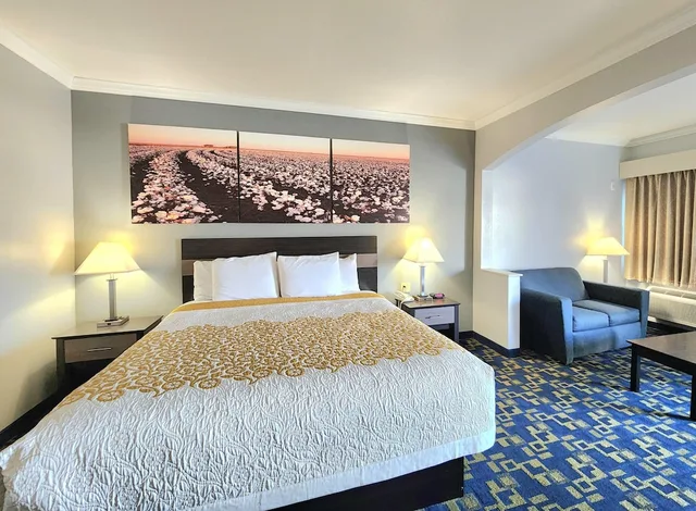 غرفة قياسية بسرير كينج للمدخنين، Days Inn By Wyndham Robstown 1/10