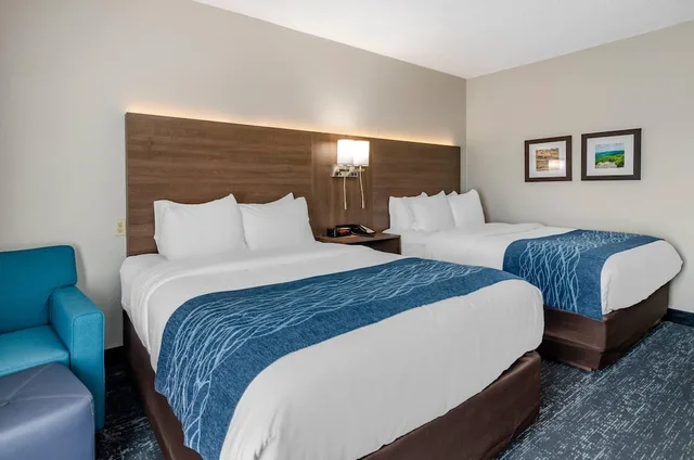 جناح بسريرين كوين مع أريكة، Comfort Inn & Suites Troutville-Roanoke North 1/10