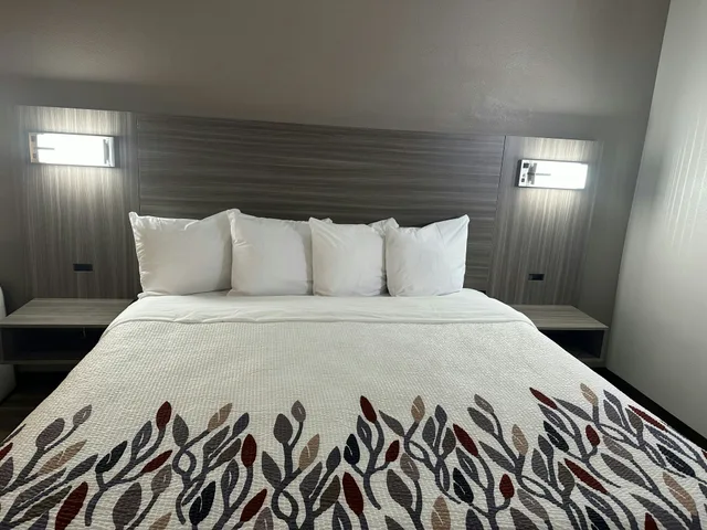 جناح بسرير كينج، Red Roof Inn & Suites Middleborough 3/6