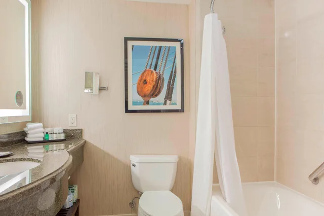 Deluxe, King Bed, Marina View, Sheraton Sonoma Wine Country Petaluma 3/4