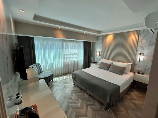 غرفة قياسية بسرير مزدوج، The Roomy Hotel Nisantasi 2/9