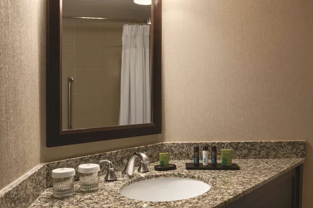 Suite, King Bed, Allergy Friendly, Accessible, Embassy Suites by Hilton Birmingham 8/9
