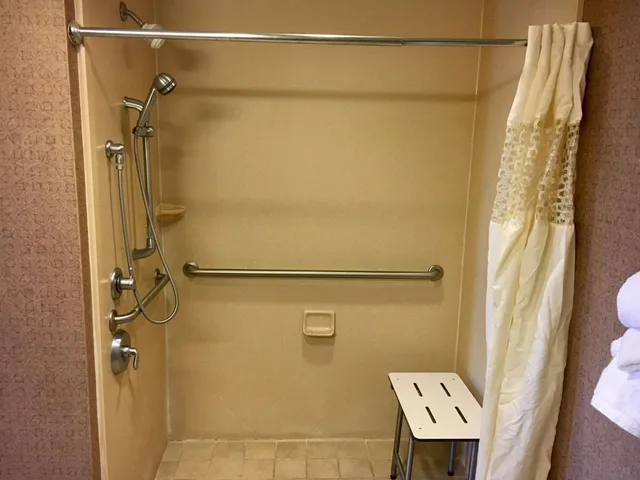 Studio, King Bed, Sofa, Accessible, Hampton Inn Suites Chesapeake Battlefield Boulevard 3/4