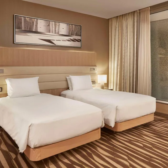 غرفة ديلوكس بسرير فردي، Hilton Frankfurt Airport 1/5