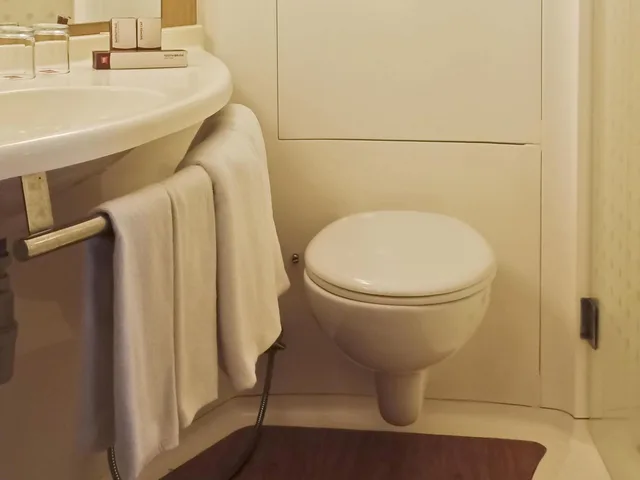 غرفة قياسية بسرير كوين بإطلالة على الجبل، Ibis Padang 7/8