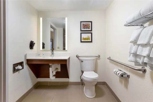 غرفة بسرير كينج لذوي الإعاقة، Comfort Suites Hanes Mall 3/4