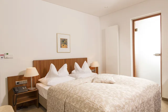غرفة سوبيريور بسرير مزدوج، Baseler Hof Hotel 1/7