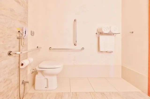 غرفة قياسية بسرير كينج لذوي الإعاقة، HOLIDAY INN GOIANIA 5/6