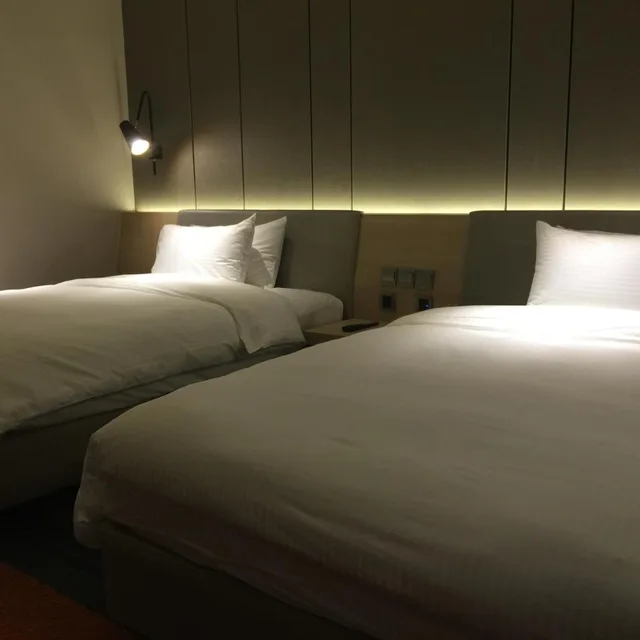 Room, Double Bed, Aerotel Singapore Transit Hotel Terminal 1 5/10