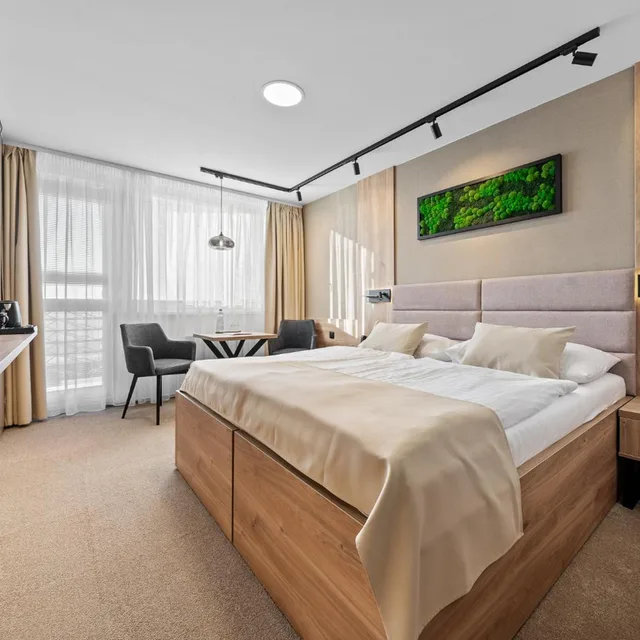 غرفة ديلوكس بسرير مزدوج، Hotel Vega Luhacovice 1/2
