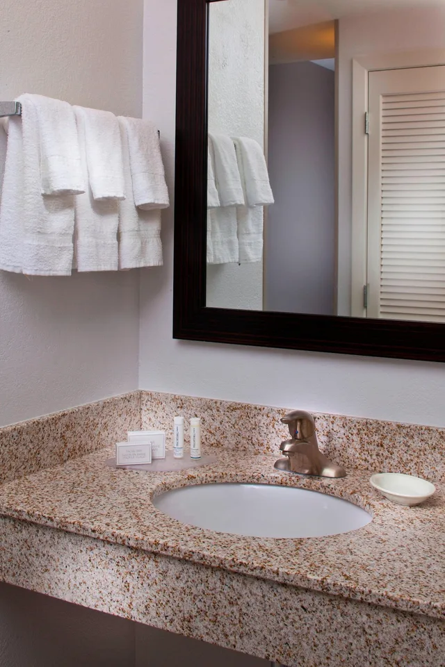 1 Bedroom, Junior Suite, King Bed, Sofa, Courtyard By Marriott New Orleans Metairie 3/3